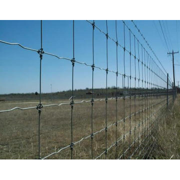 Hot Sale Fixed Knot Woven Wire Fence